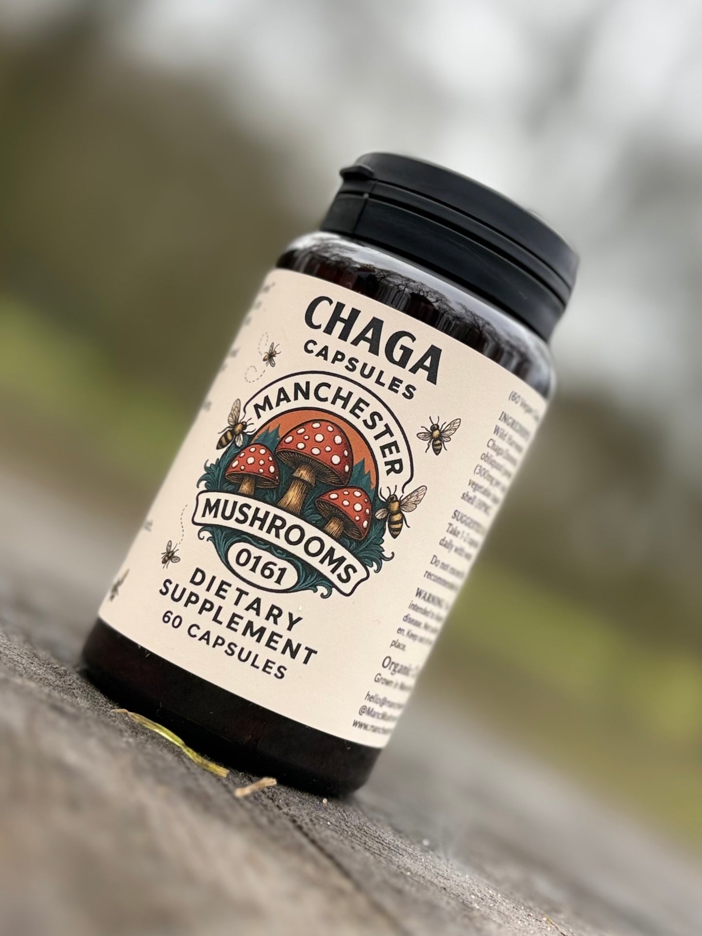 Chaga Capsules