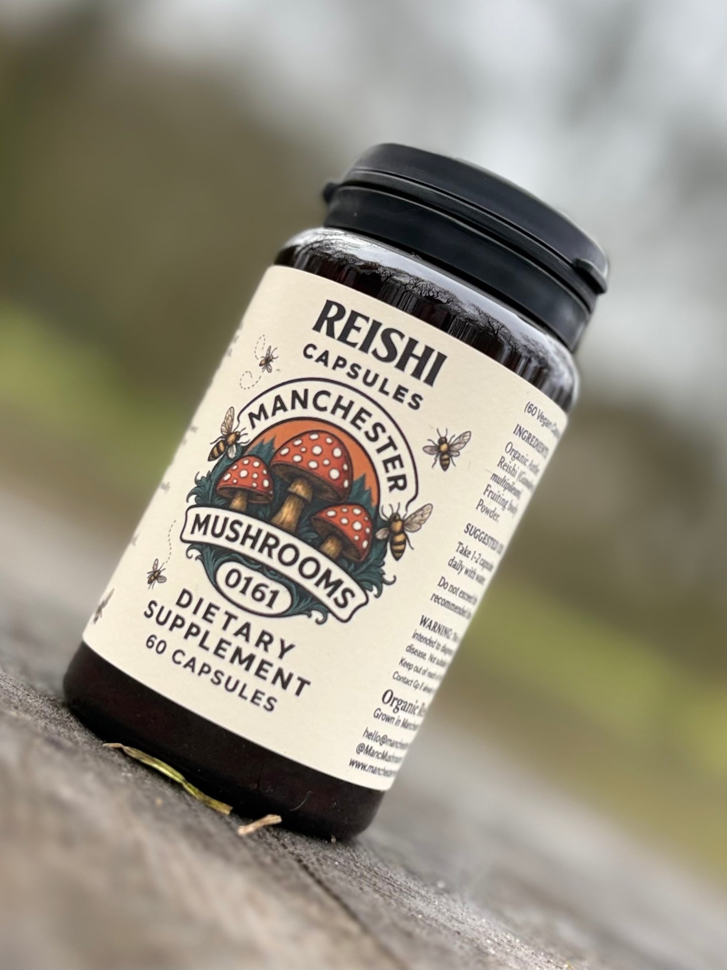 Reishi Capsules