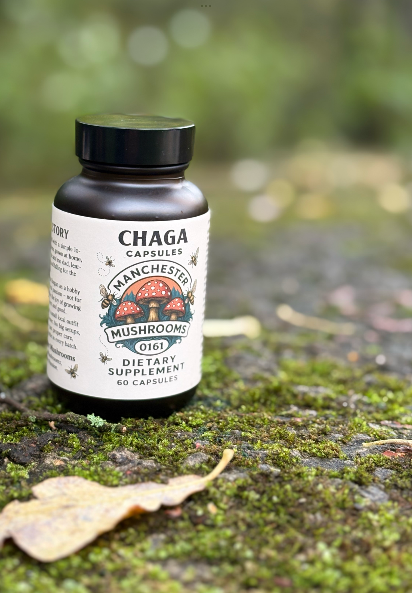 Chaga Capsules