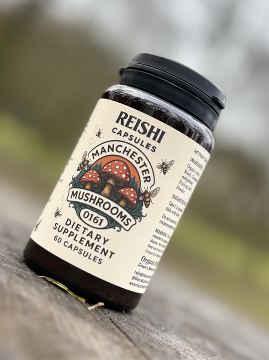 Reishi Capsules