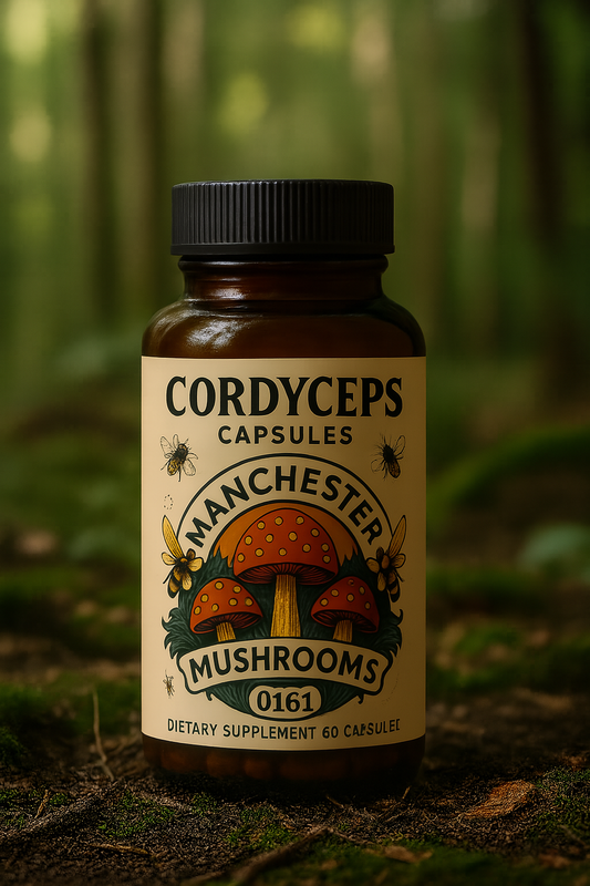 Cordycep Capsules
